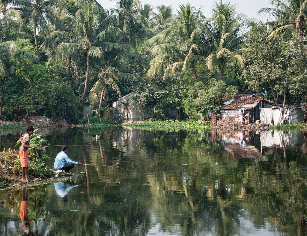 স্বরাজ ইন্ডিয়া পশ্চিমবঙ্গের রাজ্য অধ্যক্ষ সঞ্জীব মুখার্জীর প্রতিবেদন: পশ্চিমবঙ্গের দীর্ঘস্থায়ী ও গভীর সমস্যাগুলি ও তার মোকাবিলার উপায়