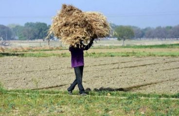 मोदी सरकार के झटपट लाए गए तीन अध्यादेशों से खेती को तो फायदा हो सकता है पर किसानों को नहीं