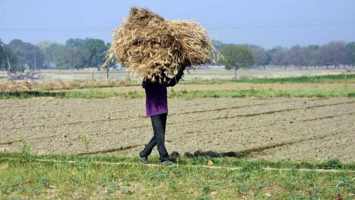 मोदी सरकार के झटपट लाए गए तीन अध्यादेशों से खेती को तो फायदा हो सकता है पर किसानों को नहीं